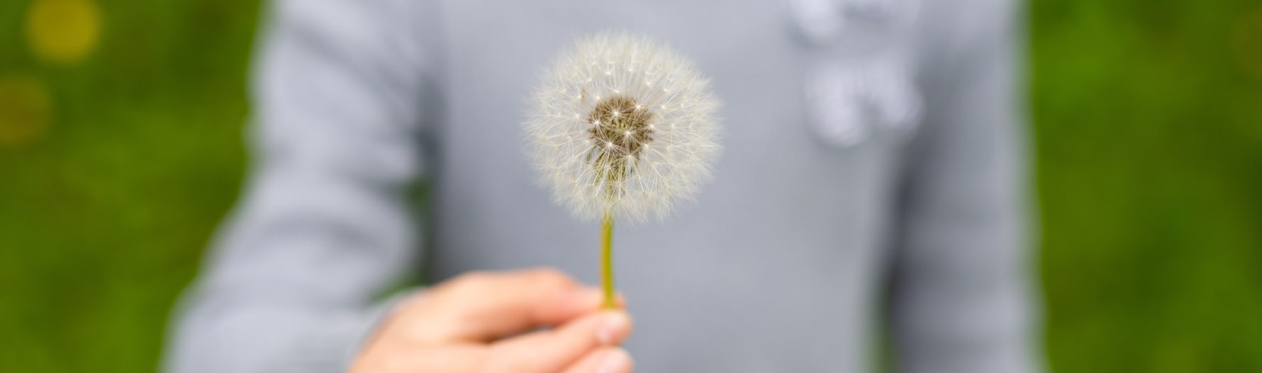 熊本の仮設住宅の写真