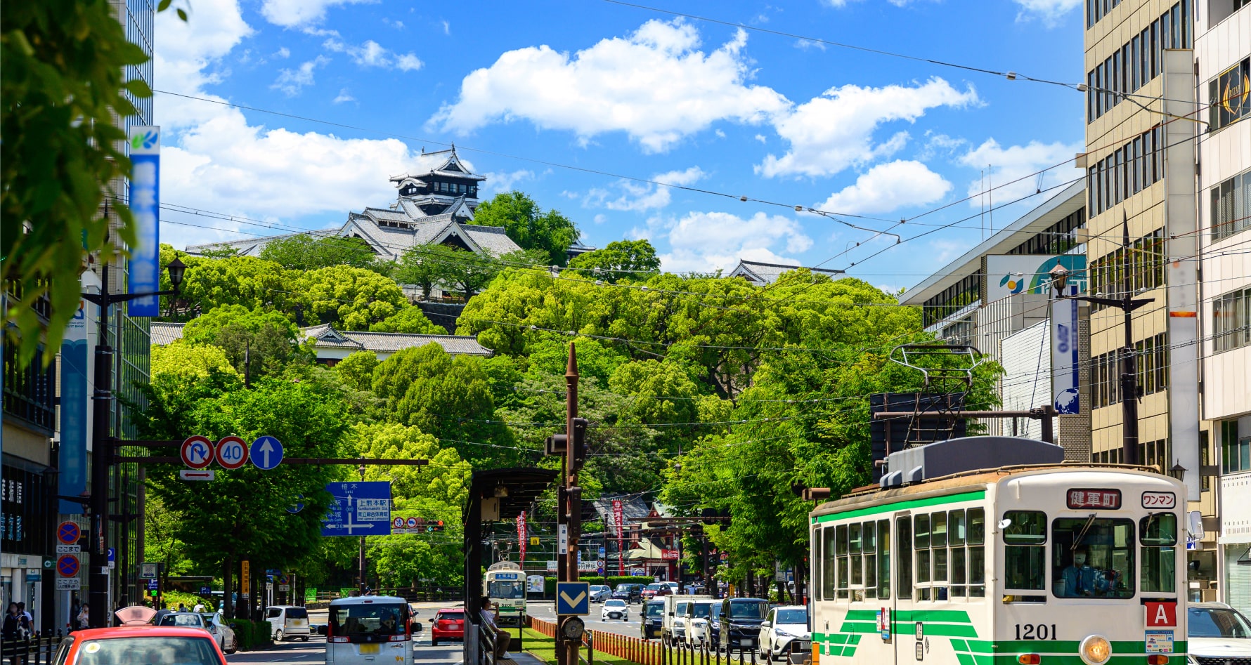 熊本市街から見える熊本城