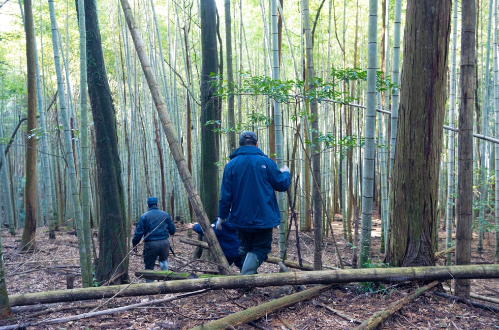 森林を調査する地域の方々