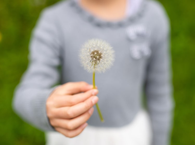 たんぽぽを持った子供
